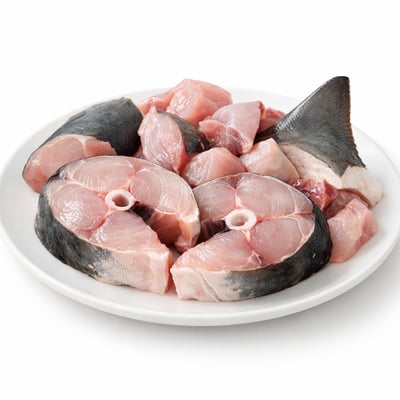 Shark fish