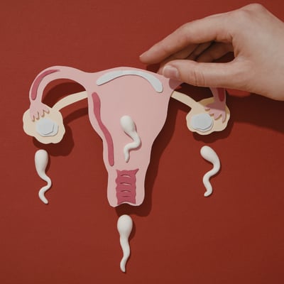 Infertility