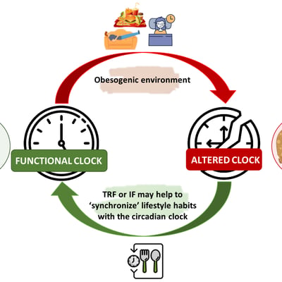 Circadian Chart Therapy