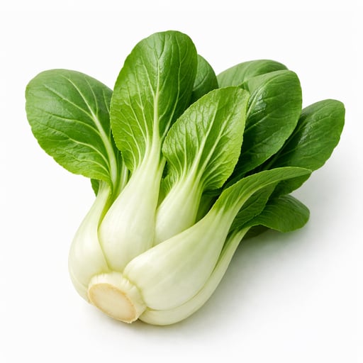 Cabbage, chinese (pak-choi), raw