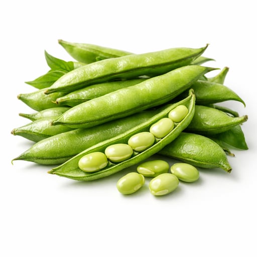 Field beans, tender, lean