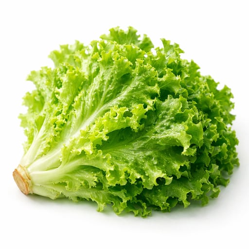 Lettuce