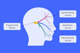Migraine, Headache & Nerve Pain Treatment