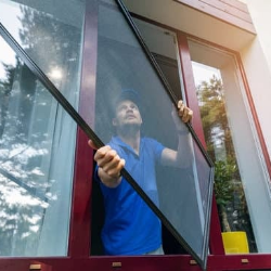 🕸️ Pigeon Net Installation