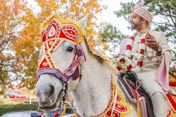 Ghori Procession 🐎✨