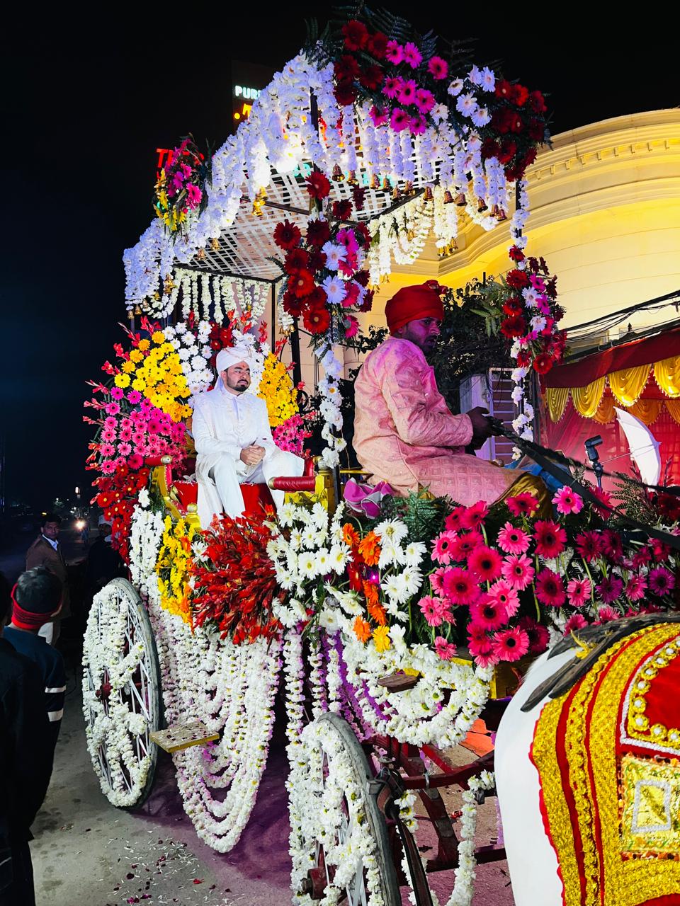 Baggi (Carriage) Service 🚖🎠