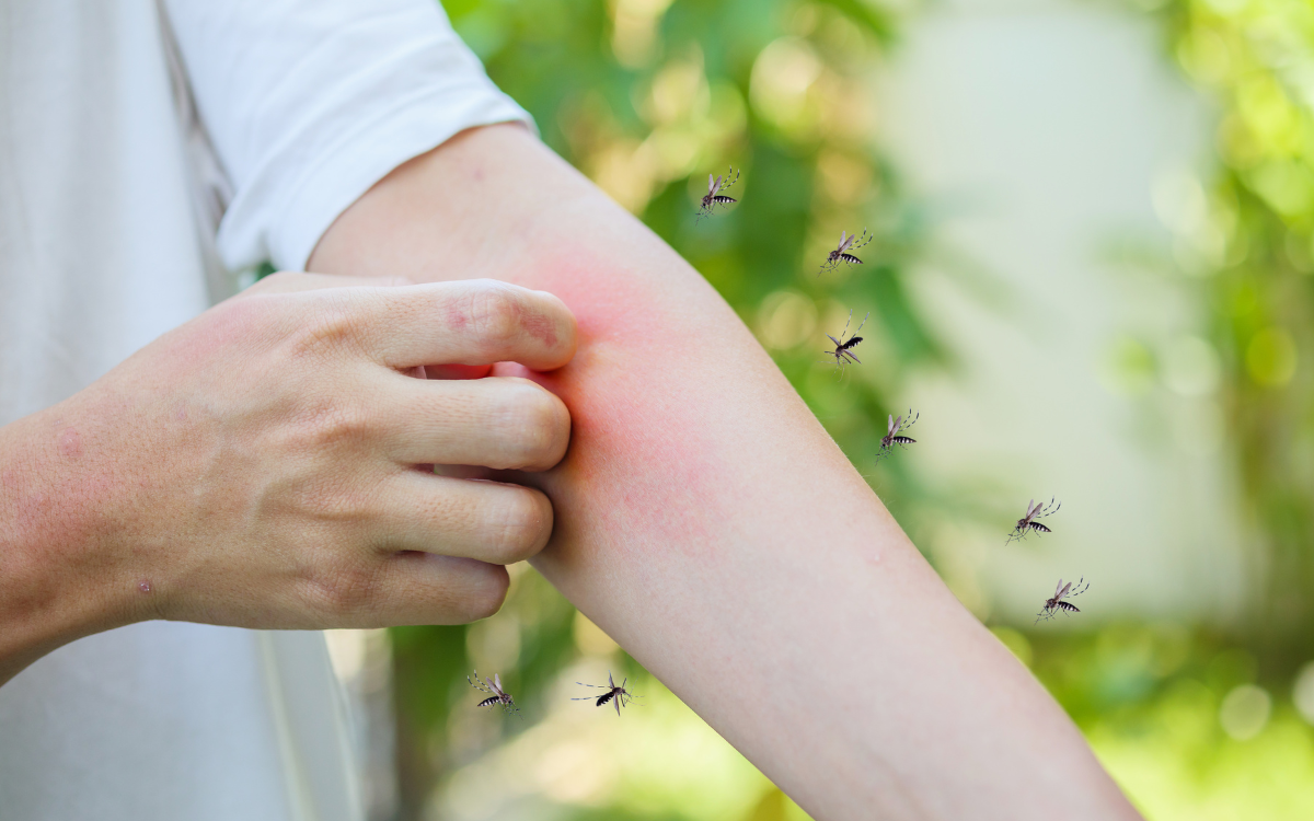 Typhoid, Dengue & Malaria Care 🦟💉