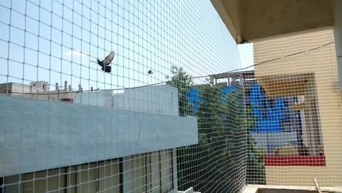 Kabutar Jali Installation Service