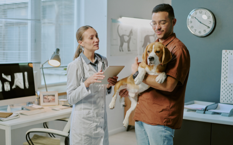 Pet Clinic🚶‍♂️🐕