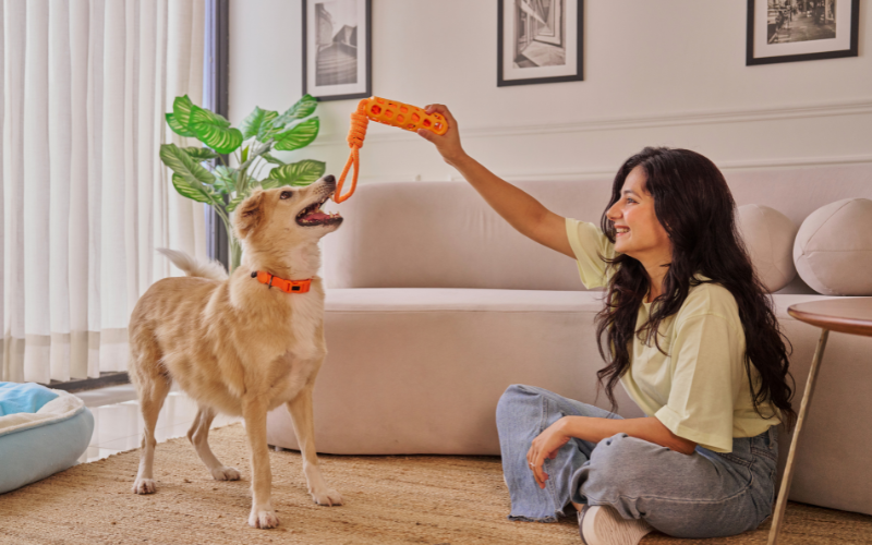 Home Service Vaccination 🍖🐶