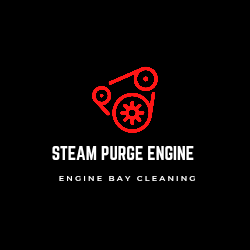 🔥 Steam Purge Engine Bay Cleaning