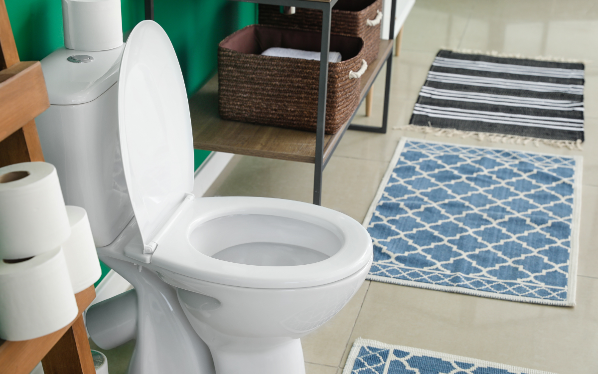 Sanitaryware Fitting 🚽