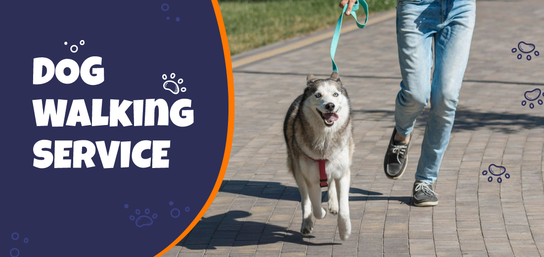 Dog Walking Services πΆββοΈπ