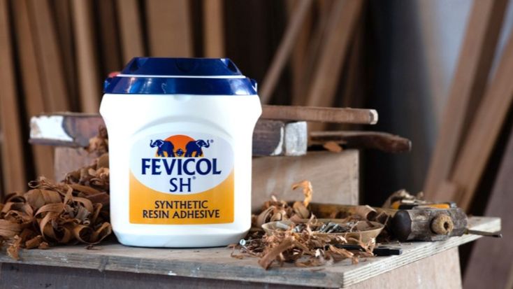 Fevicol & Adhesives