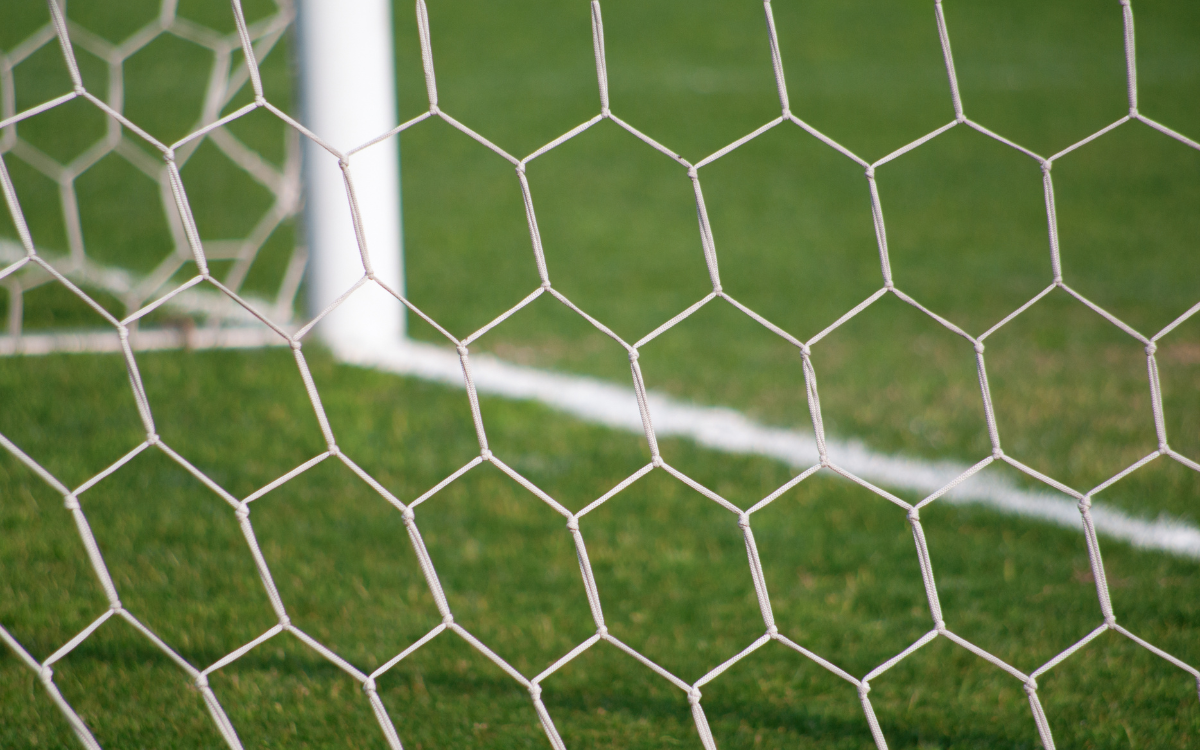 Bird Netting Solutions 🦜